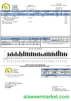 USA Tri-County Electric Cooperative business utility bill template in Word and PDF formats